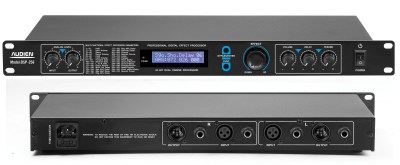 DSP-256 1